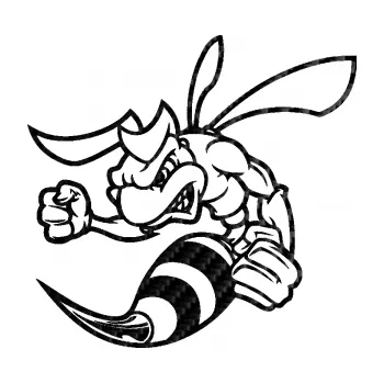 Samolepicí dekorace na vozidlo Rozzuřená vosa 003 levá (50 - 3D karbon černý) SAMOLEPKA NA AUTO, NÁLEPKA, FÓLIE, POLEP, TUNING, VLASTNÍ TEXT, TISK, AUTOSAMOLEPKY.cz, POLEPY, OBRÁZEK, LOGO, 3D STICKERS