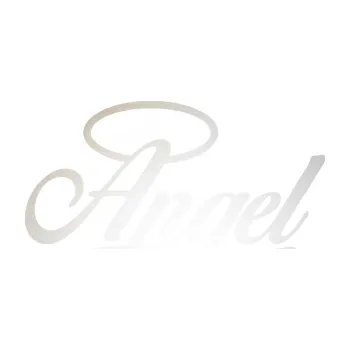 Polep vozidla SAMOLEPKA Angel nápis (82 - odrazková reflexní bílá) NA AUTO, NÁLEPKA, FÓLIE, POLEP, TUNING, VLASTNÍ TEXT, TISK, AUTOSAMOLEPKY.cz, POLEPY, OBRÁZEK, LOGO, SAMOLEPKY