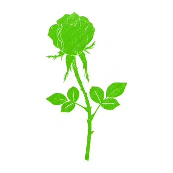 Samolepící dekorace Růže 003 levá (58 - 3D karbon zelený kawasaki) SAMOLEPKA NA AUTO, NÁLEPKA, FÓLIE, POLEP, TUNING, VLASTNÍ TEXT, TISK, AUTOSAMOLEPKY.cz, POLEPY, OBRÁZEK, LOGO, 3D STICKERS