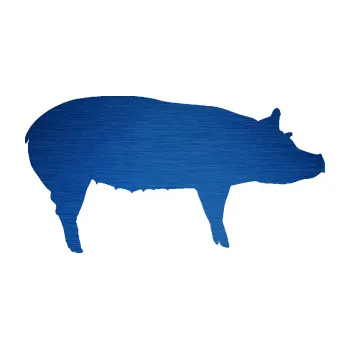 Samolepící dekorace SAMOLEPKA Prase 002 pravá (65 - škrábaný kov modrý) NA AUTO, NÁLEPKA, FÓLIE, POLEP, TUNING, VLASTNÍ TEXT, TISK, AUTOSAMOLEPKY.cz, POLEPY, OBRÁZEK, LOGO, SAMOLEPKY