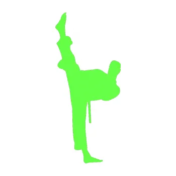 Polep vozidla Karate 005 levá (71 - Fluorescentní zelená) SAMOLEPKA NA AUTO, NÁLEPKA, FÓLIE, POLEP, TUNING, VLASTNÍ TEXT, TISK, AUTOSAMOLEPKY.cz, POLEPY, OBRÁZEK, LOGO, 3D STICKERS