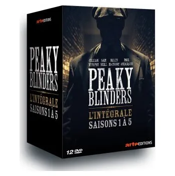 DVD film PEAKY BLINDERS S1 A S5 - 12 DVD – KNIGHT STEVEN (FR)