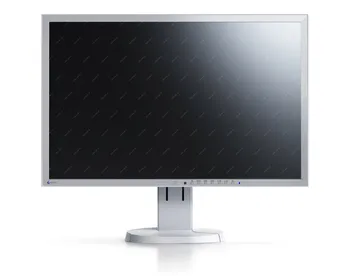 Monitor EIZO EV2316WFS-GY