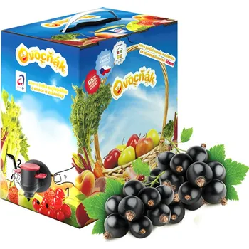 Ovocňák rybízový mošt 5L