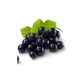 Ovocný džem od Sedmikrásky - Černý rybíz jednodruhové ovoce, bez přídavků jablek apod., poměr ovoce : cukr - 2:1, s přídavkem vitamínu C. 520 ml