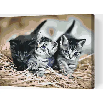 Malování podle čísel - Koťátka Velikost: 40x50cm, Rámování: Pouze srolované plátno