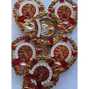 Odznaky Vzorný voják, 21 ks