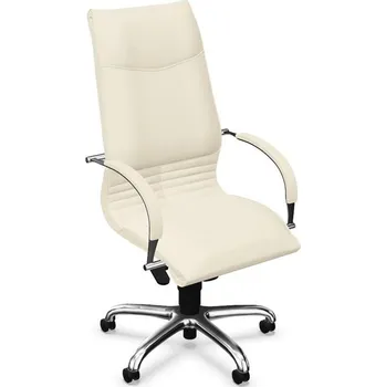 Manažerské křeslo ARTUS s područkami, podnoží chromované, čalounění kůže, béžová
