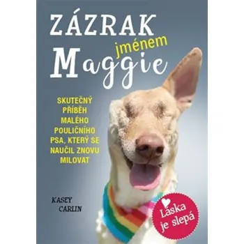 Zázrak jménem Maggie: Skutečný příběh malého pouličního psa Maggie, který se naučil znovu milovat - Kasey Carlin (2020, brožovaná)