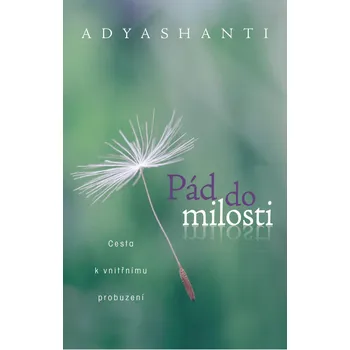 Kniha Recenze Pád do milosti: Cesta k vnitřnímu probuzení - Adyashanti (2014) [E-kniha]