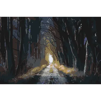 Malování podle čísel - Temný les Velikost: 40x60cm, Rámování: Pouze srolované plátno