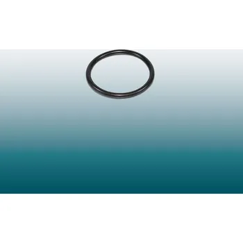 O kroužek 25x2 mm vypouštěcího ventilu ALCAPLAST CH 01 - V1/289