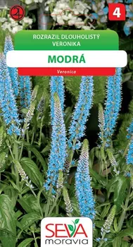 Semeno Osiva Moravia Veronika rozrazil dlouholistý modrý 0,1 g