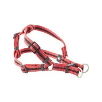 Pro psa Postroj BUSTER Airmesh reflexní S, 20mm červený