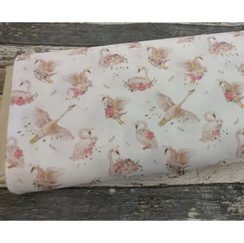 Malířské plátno Plátno něžné labutě