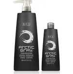 Bes Arctic gray tónovací šampon - neutralizace žlutých tónů 300 ml