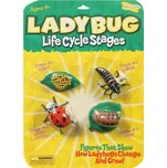 Insect Lore Životní cyklus Beruška