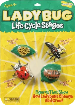 Dětská vědecká sada Insect Lore Životní cyklus Beruška