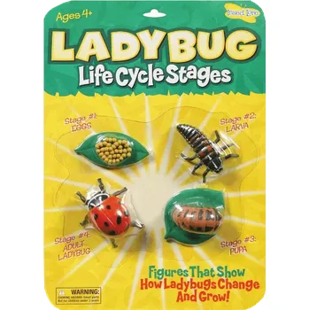 Dětská vědecká sada Insect Lore Životní cyklus Beruška