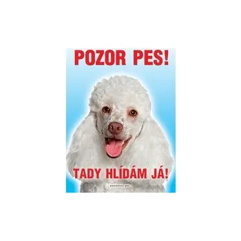 Grel nálepka pozor pes pudl bílý