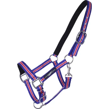 Vybavení pro koně QHP Ohlávka Icelandic QHP, COB, royal blue
