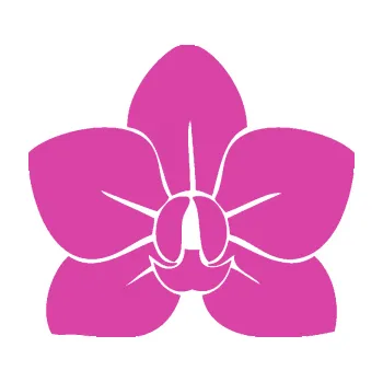 Samolepící dekorace SAMOLEPKA Květina dekor 023 orchidej květ (16 - růžová) NA AUTO, NÁLEPKA, FÓLIE, POLEP, TUNING, VLASTNÍ TEXT, TISK, AUTOSAMOLEPKY.cz, POLEPY, OBRÁZEK, LOGO, SAMOLEPKY