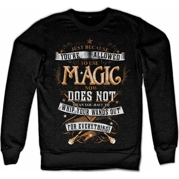 Pánská mikina Harry Potter mikina, Magic Black, pánská L