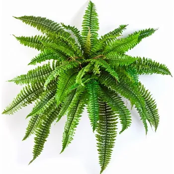 umělá květina Umělá rostlina Bostonské kapradí DELUXE, 80cm