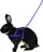 Kerbl Postroj a vodítko pro králíka pro agility 200 cm, L