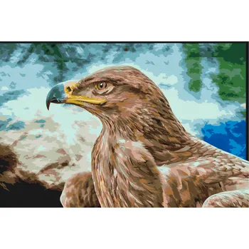 Malování podle čísel - Dravec Velikost: 40x60cm, Rámování: Pouze srolované plátno