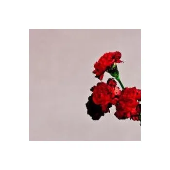 Zahraniční hudba Love In The Future - Legend John [CD]