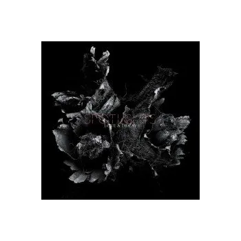 Zahraniční hudba Love & Decay / Digisleeve - Spotlights [CD]