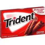 Trident Cinnamon 27 g