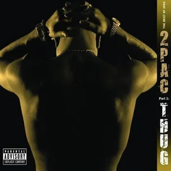 Zahraniční hudba Best Of 2Pac: Part 1: Thug - 2Pac
