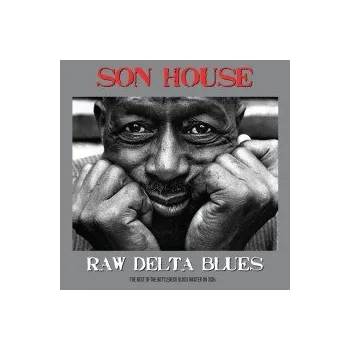 Zahraniční hudba Raw Delta Blues / 2CD / Digisleeve - Son House [2 CD]