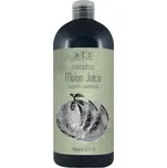 BES Fragrance Melon Juice Shampoo 1000ml - vlasový šampon s vůní melounu