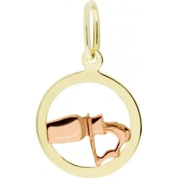 Přívěsek Kulatý přívěsek ve tvaru znamení, žluté zlato Materiál šperku: Žluté zlato, Symbol: Vodnář