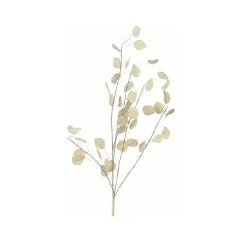 Bytová dekorace Květina penízek sušená FLOWEE, bílá, pr.10x72cm|Ego Dekor