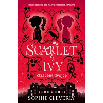 Kniha Ztracené dvojče - Sophie Cleverly (E-Kniha)