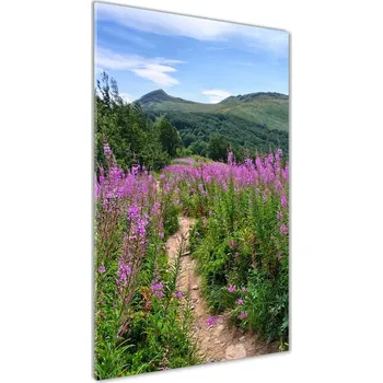 Obraz Vertikální Foto obraz sklo tvrzené Bieszczady