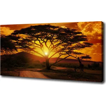 Obraz Foto obraz na plátně Západ Afrika