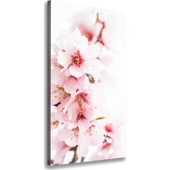 Obraz Vertikální Foto obraz na plátně Květ mandloně