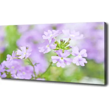 Obraz Moderní obraz canvas na rámu Werbena