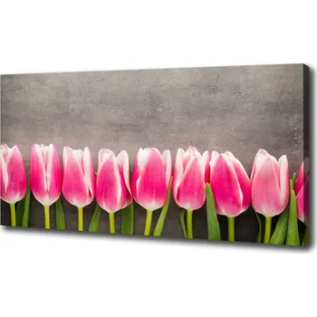 Obraz Foto obraz na plátně do obýváku Růžové tulipány