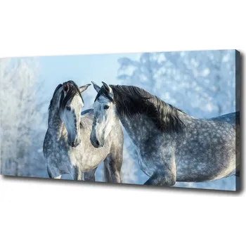 Obraz Foto obraz na plátně Zima šedý kůň
