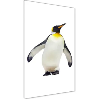 Obraz Vertikální Foto-obraz fotografie na skle Tučňák