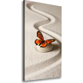 Obraz Vertikální Foto obraz na plátně Kámen zen a motýl