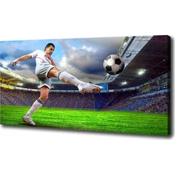 Obraz Foto obraz na plátně do obýváku Fotbalista na stadioně