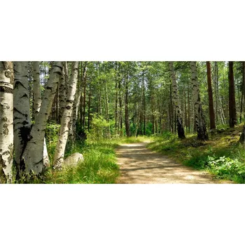 Obraz Foto obraz skleněný horizontální Stezka v lese