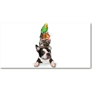 Obraz Fotoobraz na skle Skupina zvířat